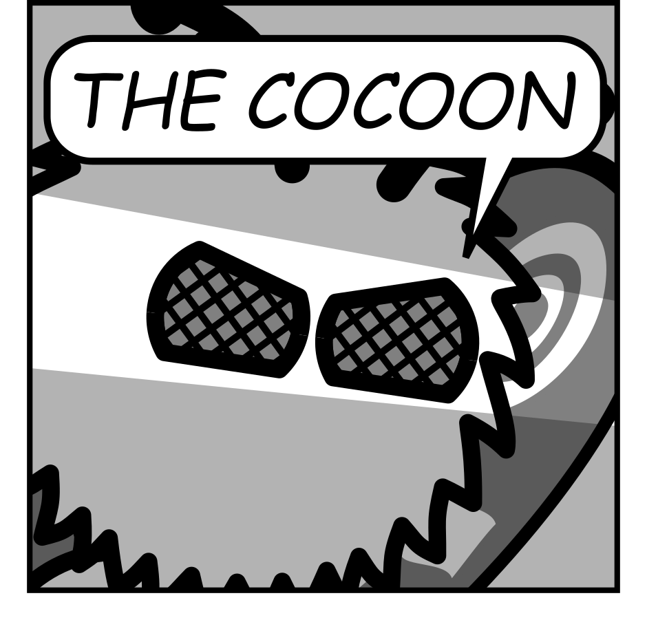 Panel 5